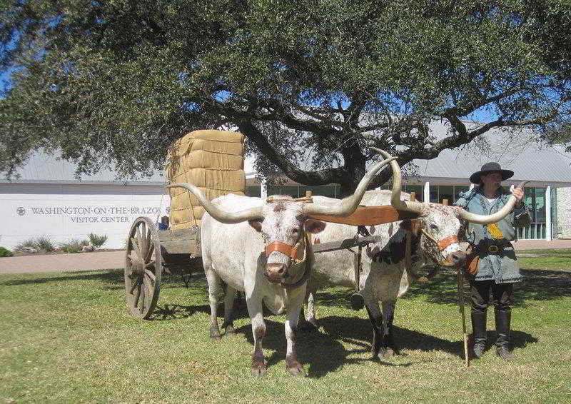 Best Western Inn Of Brenham Buitenkant foto